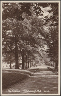 The Avenue, Hillsborough Park, Sheffield, C.1920 - Sneath RP Postcard - Sheffield