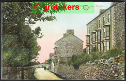 LLANABER Fronoleu Terrace ± 1915 - Merionethshire