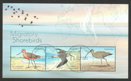 AUSTRALIA 2021 MIGRATORY SHORE BIRDS SOUVENIR SHEET OF 3 STAMPS IN FINE USED   (**) - Used Stamps