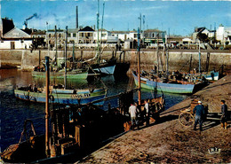 St Gilles Croix De Vie * Vue Sur Le Port * Bateau Pêche Pêcheurs - Saint Gilles Croix De Vie