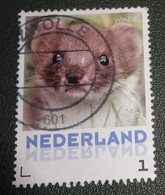 Nederland - NVPH - 3013-Aa-31 - Zoogdieren - 2013 - Persoonlijke Gebruikt - Wezel - Francobolli Personalizzati