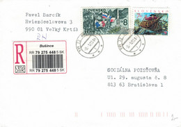 Reko Busince 2002 Ruderer Boot Ruderboot > Bratislava - Storia Postale