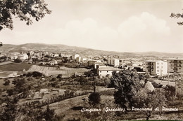 Cartolina - Cinigiano ( Grosseto ) - Panorama Di Ponente - 1968 - Grosseto