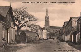 La Chataigneraie : Avenue Fontenay Le Comte - La Chataigneraie