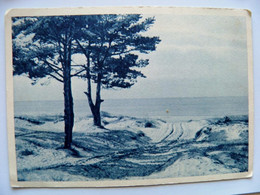 Post Card Latvia Landscape Sea Tirage 20,000ex. - Lettonie