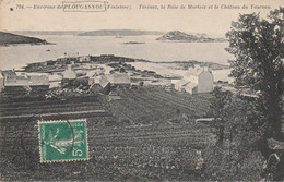29 - PLOUGASNOU - Térénez, La Baie De Morlaix Et Le Château Du Taureau - Plougasnou