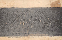 Vouvray          37       Les Vendanges Au Clos Du Bourg   -  Pli  -       (voir Scan) - Vouvray