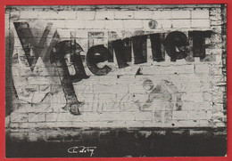 1 Cartes Modernes - Publicité Perrier -Photo Claude FAGE En 1987 à Gamay .Côte D'Or  Tirage Limité Numéroté 165 - Pubblicitari