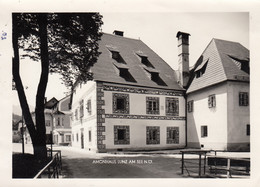 Altes Original Foto Lunz Am See - Ortsansicht Mit Dem Amonhaus - Lunz Am See