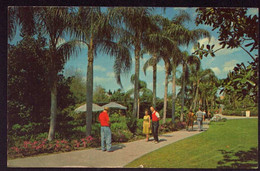 AK 002511 USA - Florida - Tampa - Busch Garden - Tampa