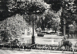 BAD SODEN - BLICK VOM KURHAUS IN DEM KURPARK - F.G - Bad Soden