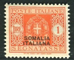 SOMALIA 1934 SEGNATASSE  1 L. * GOMMA ORIGINALE - Somalia