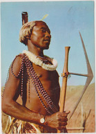 Swaziland Swazi Warrior - Swazilandia