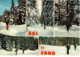 Ski De Fond (CPM Voyagé : 01 Ain Vers 75 Paris 1984) - Ski Nautique