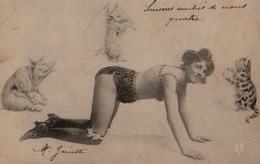 VRAIE PHOTO . Montage . Erotisme 1900 . Femme Dénudée Agenouillée :   Tigresse Aux Petits Cochons . - Vrouwen