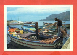 G1 -RIPOSTO - SAGRA DEL MARE---MARCOFILIA - Fishing