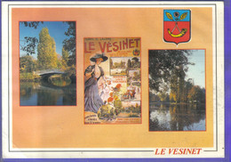 Carte Postale 78. Le Vésinet   Très Beau Plan - Le Vésinet