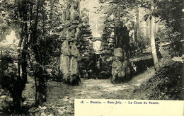 035 582 - CPA - Belgique - Renaix - Bois-Joly - La Chute Du Bassin - Renaix - Ronse