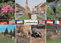 ZS47258 Lebnitz   2 Scans - Leibnitz