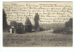 Boitsfort  Nouvelle Avenue Vers La Place 1906 - Watermaal-Bosvoorde - Watermael-Boitsfort