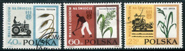 POLAND 1963  Freedom From Hunger Used.   Michel 1371-73 - Usados