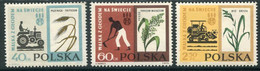 POLAND 1963  Freedom From Hunger MNH / **.   Michel 1371-73 - Nuevos