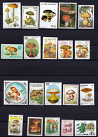 97 Timbres Neufs** + 5 Blocs Gratuits (vignettes Du Rwanda) Champignon, Mushroom Seta Pilze 10 Cts Le Timbre - Champignons