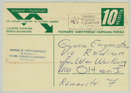 Schweiz / Helvetia 1966, Ganzsachen-Karte Lugano - Olten, WWF, Panda / Ailuropoda - Unclassified