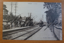 Vénéjan. La Gare Station Train. Chemin De Fer. D30 - Stations With Trains
