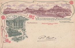 Suisse - Hôtel - Lucerne - Waldstätterhof & Savoy Hôtel - Circulée 12/09/1904 - Litho - Wald