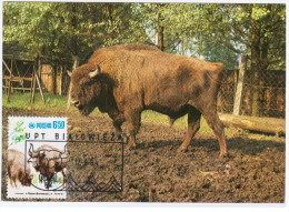 Poland 1984 Fauna Wisent Bison Animal Mammal Canceled In Bialowieza - Cartes Maximum