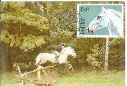 Poland Polska 1989 Fauna Horse Horses Canceled In Warszawa - Cartes Maximum