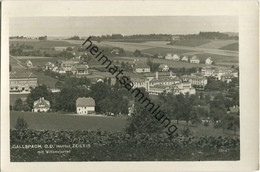 Gallspach - Institut Zeileis - Villenviertel - Foto-AK - Gallspach