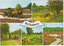 Hellendoorn - (Ov, Nederland) - Nr. L 1927 - Uitg.: A.N.W.B. Bondsvakantieoord 'De Gouden Bergen', Terhoekseweg 4 - Hellendoorn