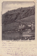 Suisse - Hôtel - Territet. - Hôtel Des Alpes - Circulée 23/11/1900 - Other & Unclassified