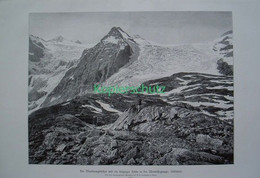 D101 163 Adamello Leipziger Hütte Gletscher Riesenbild 40x28 Cm Druck 1899!! - Other & Unclassified