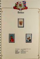 BRITISH COMMONWEALTH OMNIBUS ISSUES 1981 ROYAL WEDDING Never Hinged Mint Collection In Six Hingeless Albums, Includes Co - Autres & Non Classés