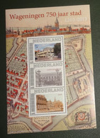 Nederland - NVPH - 2751-D-44 - Velletje 3 Zegels - 2013 - Persoonlijk Postfris - Wageningen - 750 Jaar - Stad - Personnalized Stamps