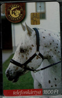 HUNGARY 2004 PHONECARD HORSES MINT VF!! - Cavalli
