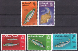 Falkland Insel, 1981, 336/40,  MNH **, Fische Des Schelfs. - Falkland Islands
