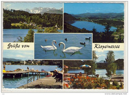 Grüße Vom KLOPEINERSEE - Mehrfachansichten , Schwan, Swan, Verlag  Schilcher, Nr. 2/959 - Klopeinersee-Orte