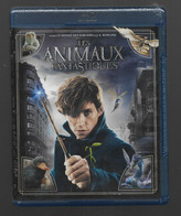 Dvd Les Animaux Fantastiques  Blu-ray - Fantasía