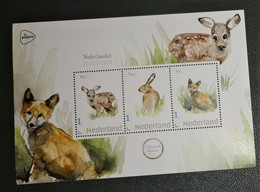 Nederland - NVPH - 3642 - Velletje 3 Zegels - 2019 - Persoonlijk Postfris - Nederlandse Zoogdieren - Michelle Dujardin - Private Stamps