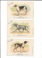 5 Cpa...Chiens...retriewer,foxhound,braque Dupuy,briquet Suisse,griffon Vendéen Nivernais...chocolat Louis... - Honden