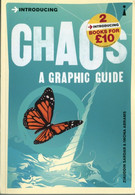 Chaos A Graphic Guide (chaos Theory) - Matematica