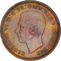 Monnaie, Grande-Bretagne, George VI, 1/2 Penny, 1938, TTB, Bronze, KM:844 - 1/2 Penny & 1/2 New Penny