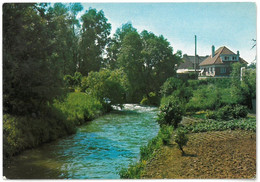 CP BOUCHAIN - Le Vieil Escaut - Ed. De L'Europe - Pierron N° N 1737 - Bouchain