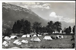 Camp INTERLAKEN - BÖNIGEN Am Brienzersee  (Suisse)  Ed. Steinhauer, Cpsm Pf - Bönigen