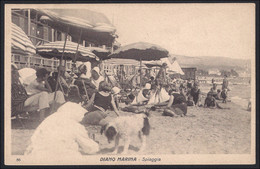DIANO MARINA La Spiaggia Con Cane In Primo Piano - Editore Locale - Viaggiata Nel 1929 - Otras Ciudades