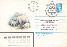 USSR - SMALL COLLECTION ARCTIS/ANTARCTIC COVERS / QG105 - Colecciones